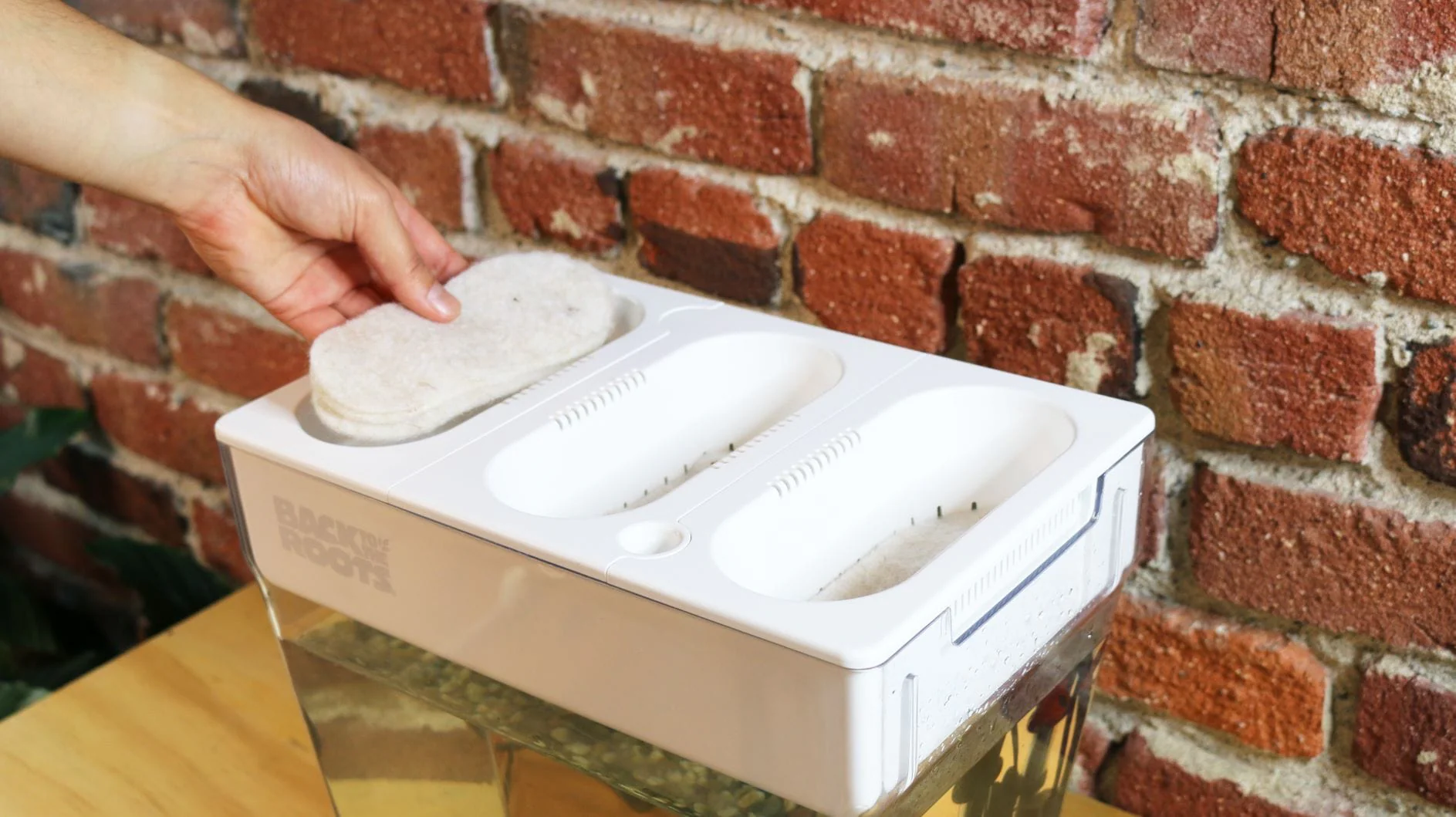 Compostable Refill Kits - Image 5