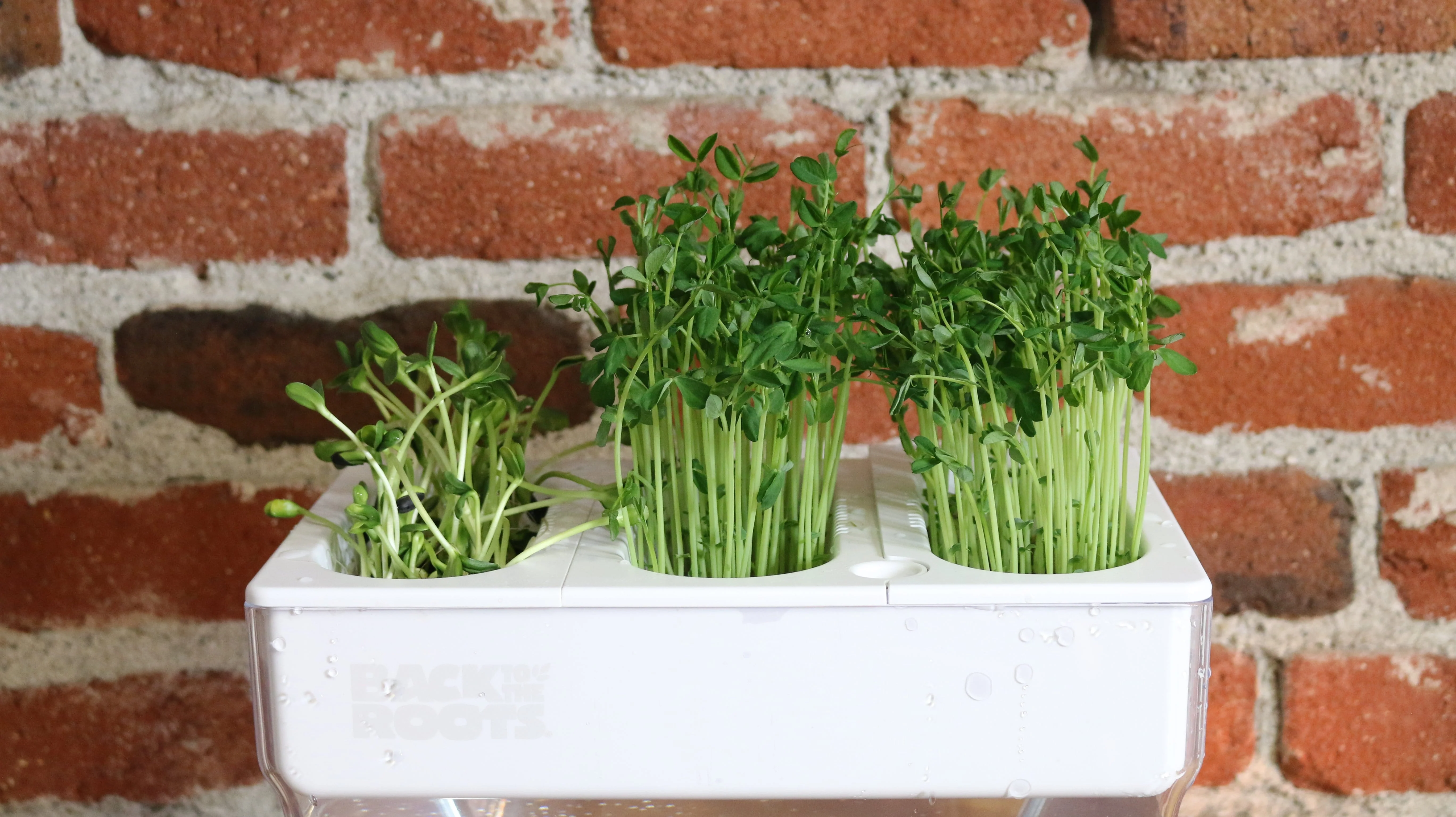 Compostable Refill Kits - Image 7