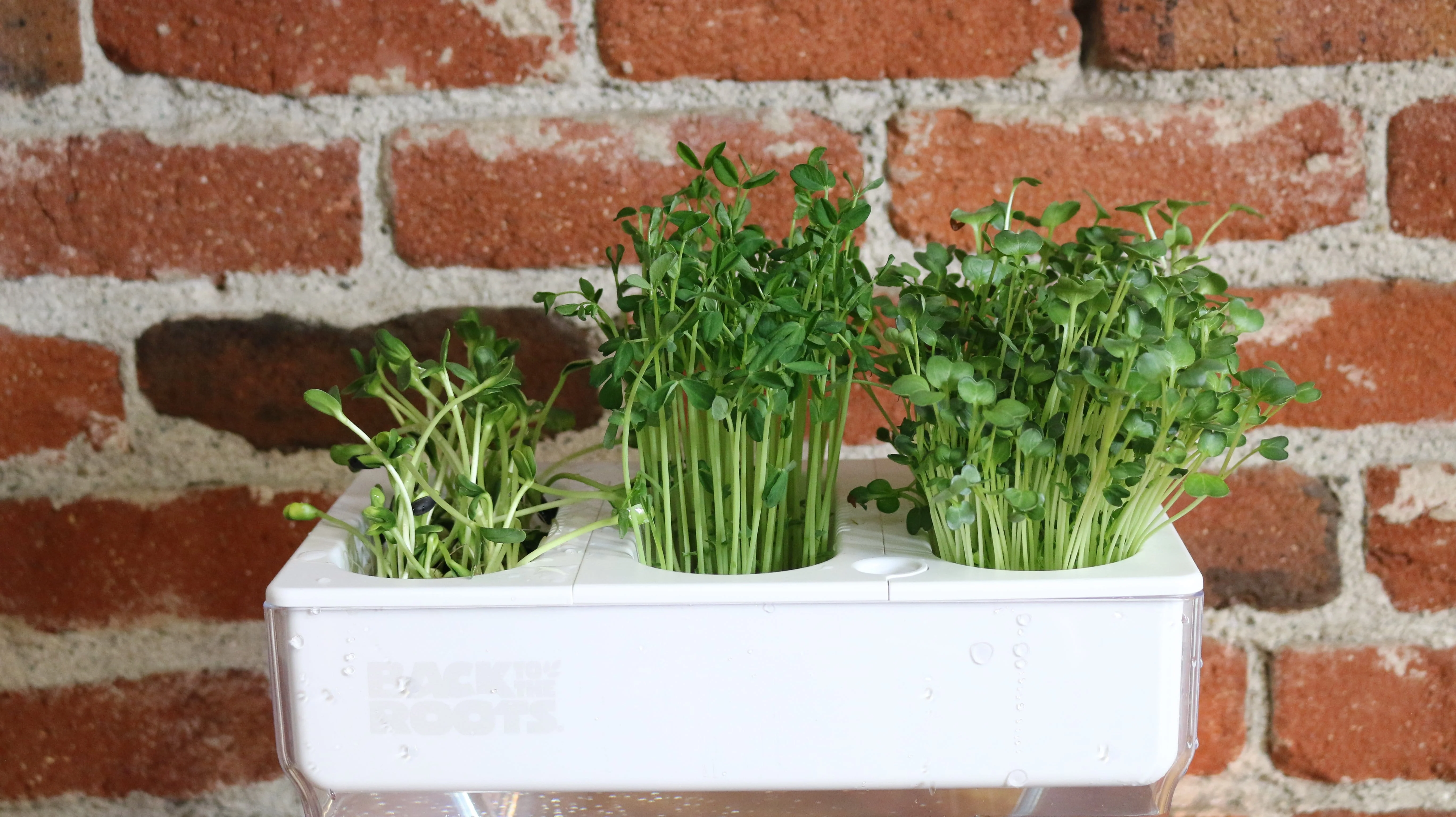 Compostable Refill Kits - Image 8