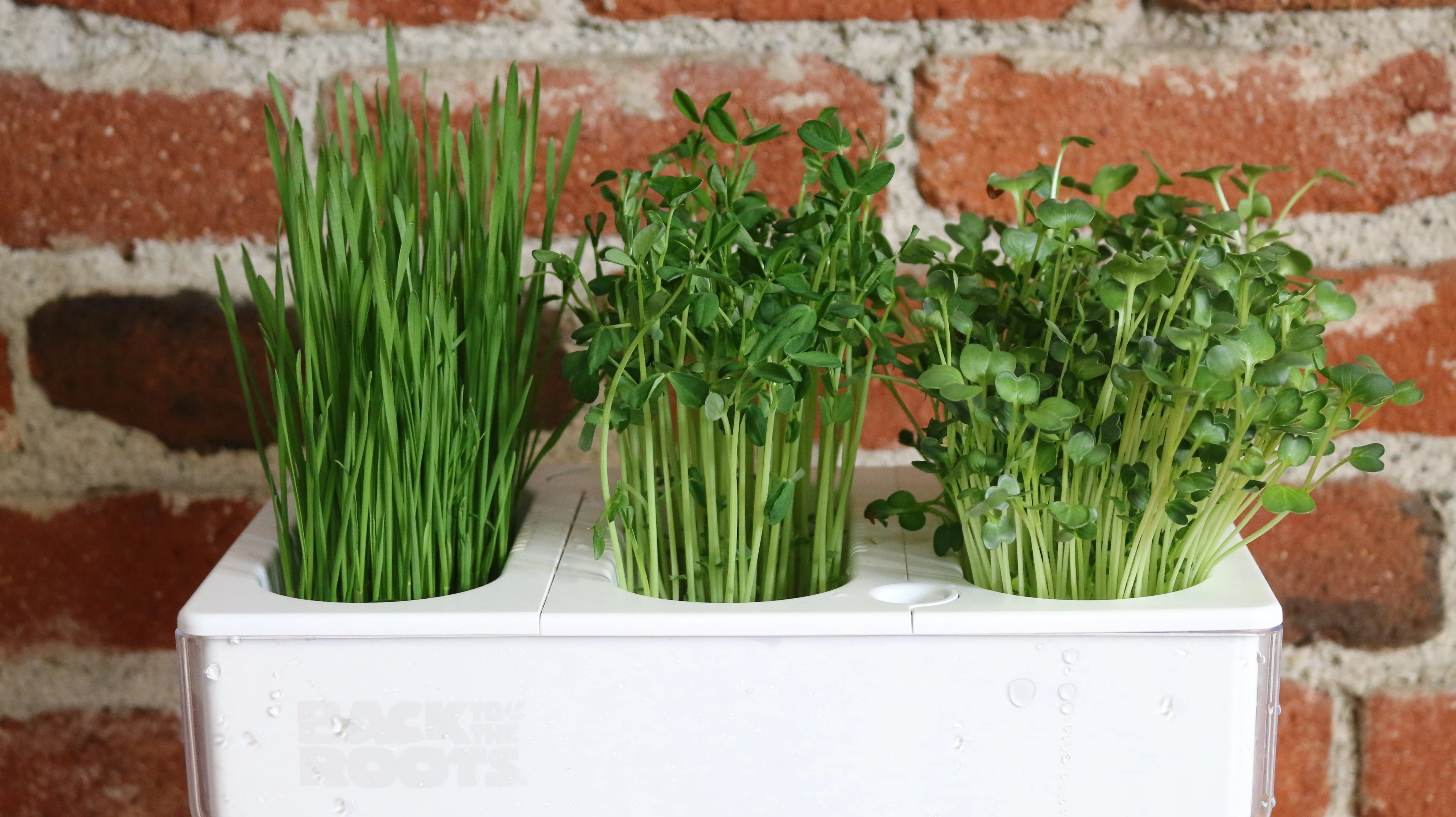 Compostable Refill Kits - Image 9