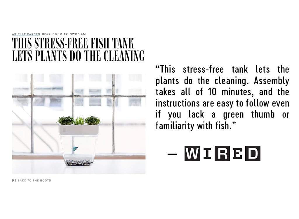 Water Garden Duo: Hydroponics / Aquaponics Ecosystem - Image 12