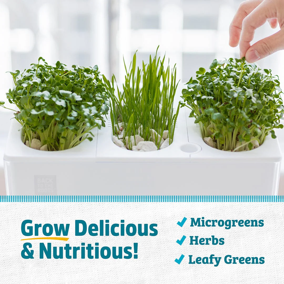 Water Garden Duo: Hydroponics / Aquaponics Ecosystem - Image 6