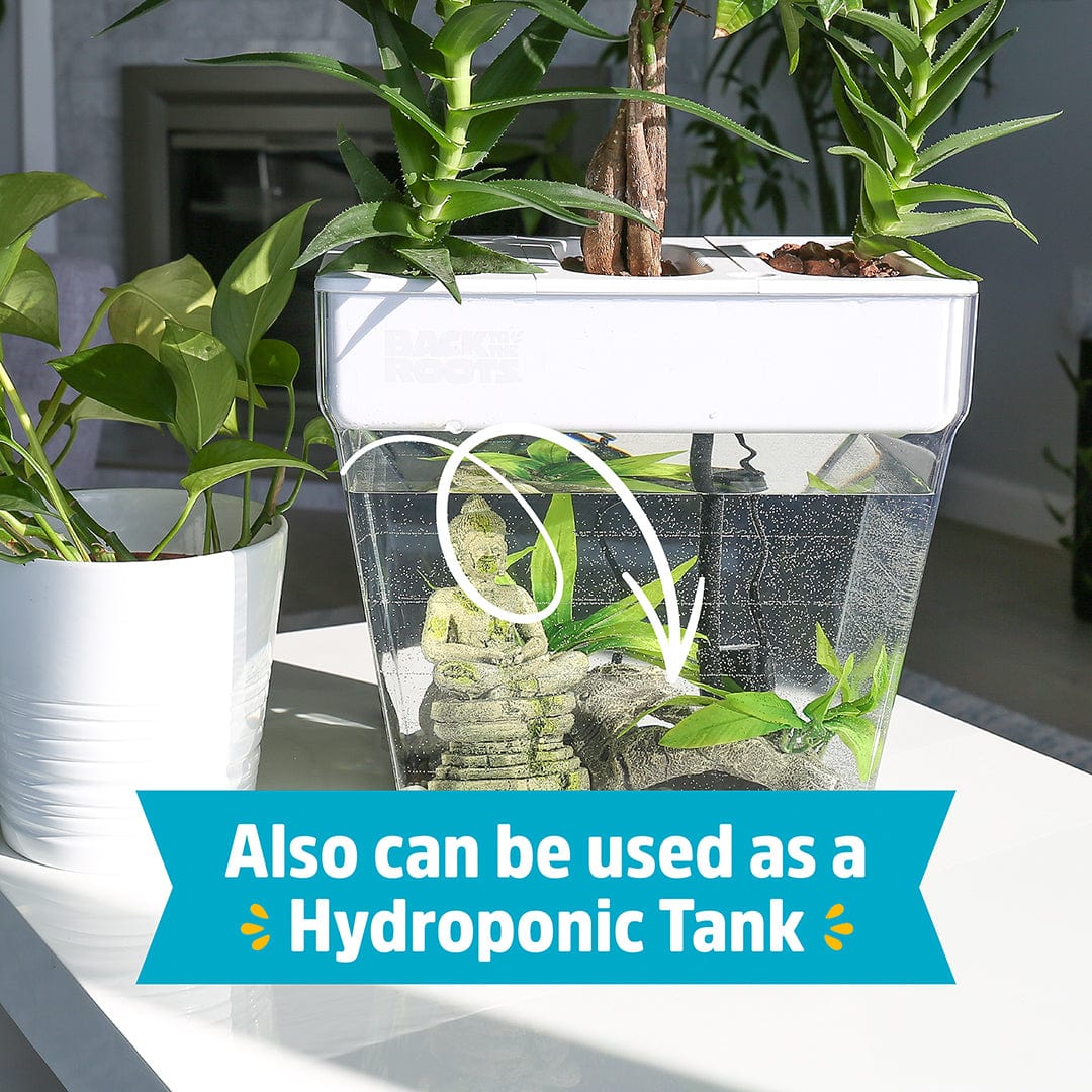 Water Garden Duo: Hydroponics / Aquaponics Ecosystem - Image 8