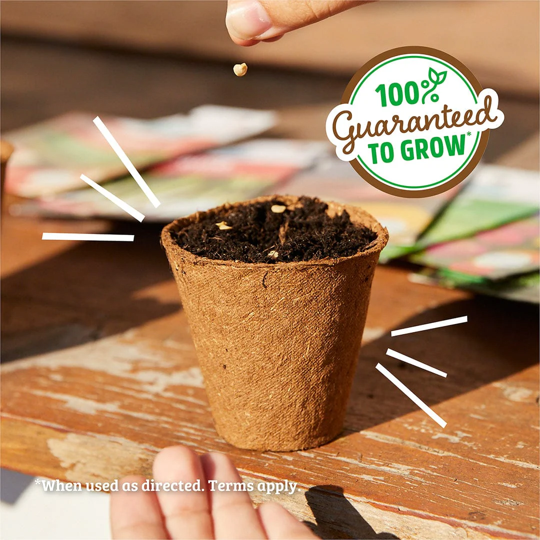 Organic Winter Veggies 7-Pack Seed Bundle - Image 5